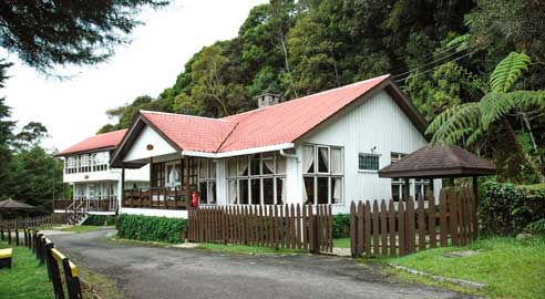 Peak Lodge (4 units) 