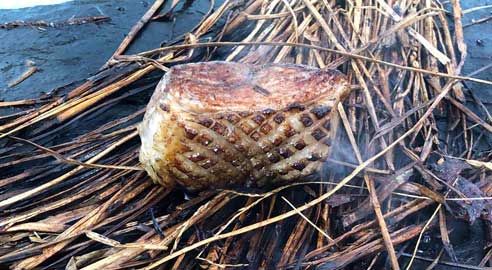 Akame highlight