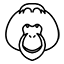 Orangutans